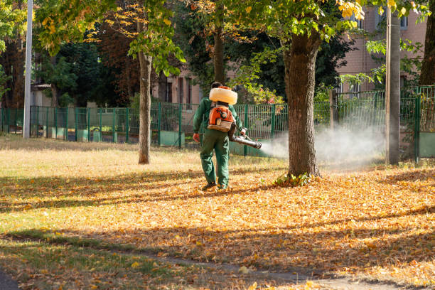 Bird Control in Woodson Terrace, MO